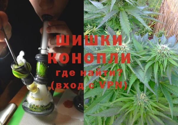 ПСИЛОЦИБИНОВЫЕ ГРИБЫ Куйбышев