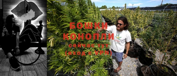 ПСИЛОЦИБИНОВЫЕ ГРИБЫ Куйбышев